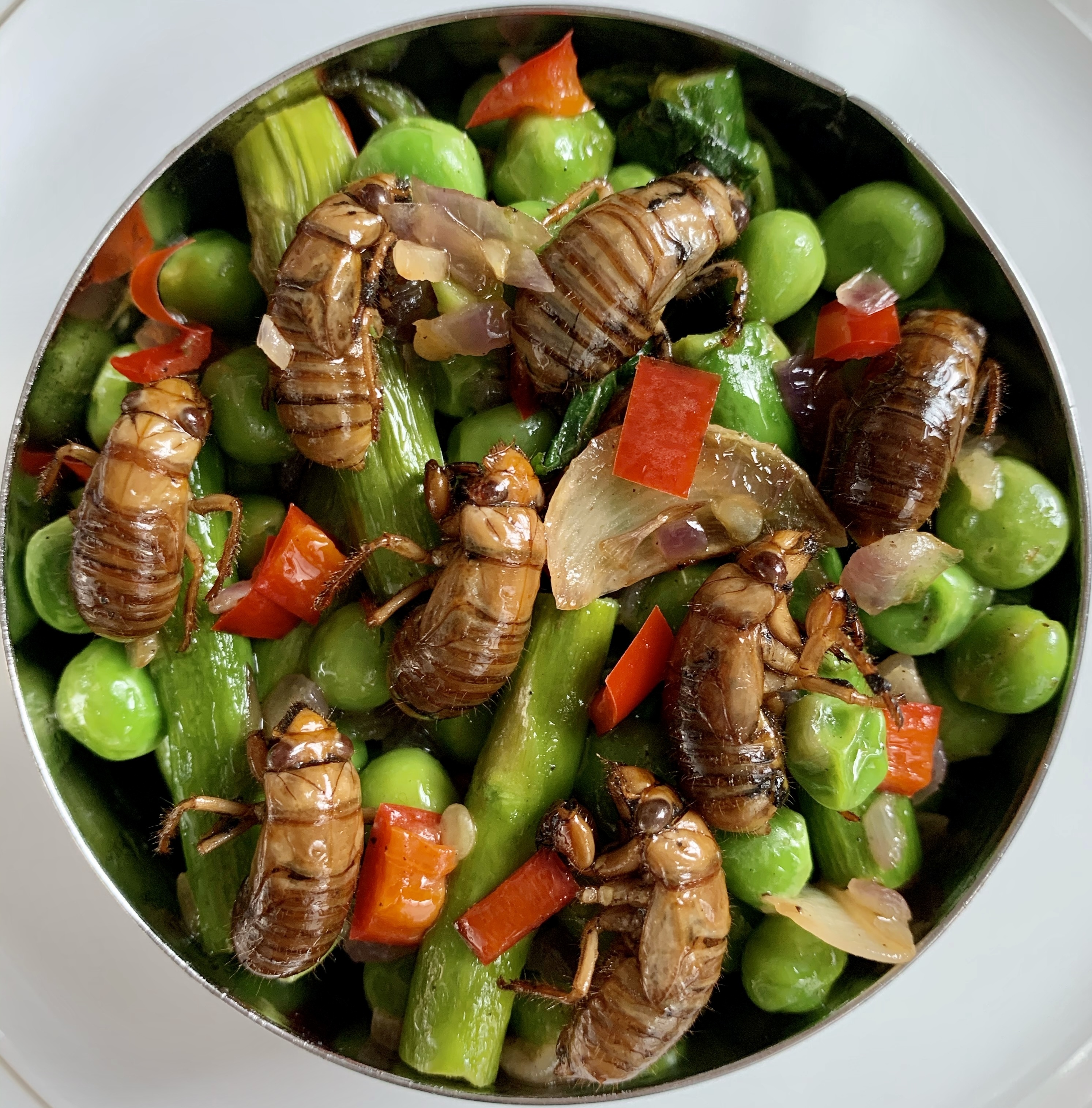 Cook Insect Creative and Delicious Ways to Cook Cicadas: A Beginner’s Guide to ...