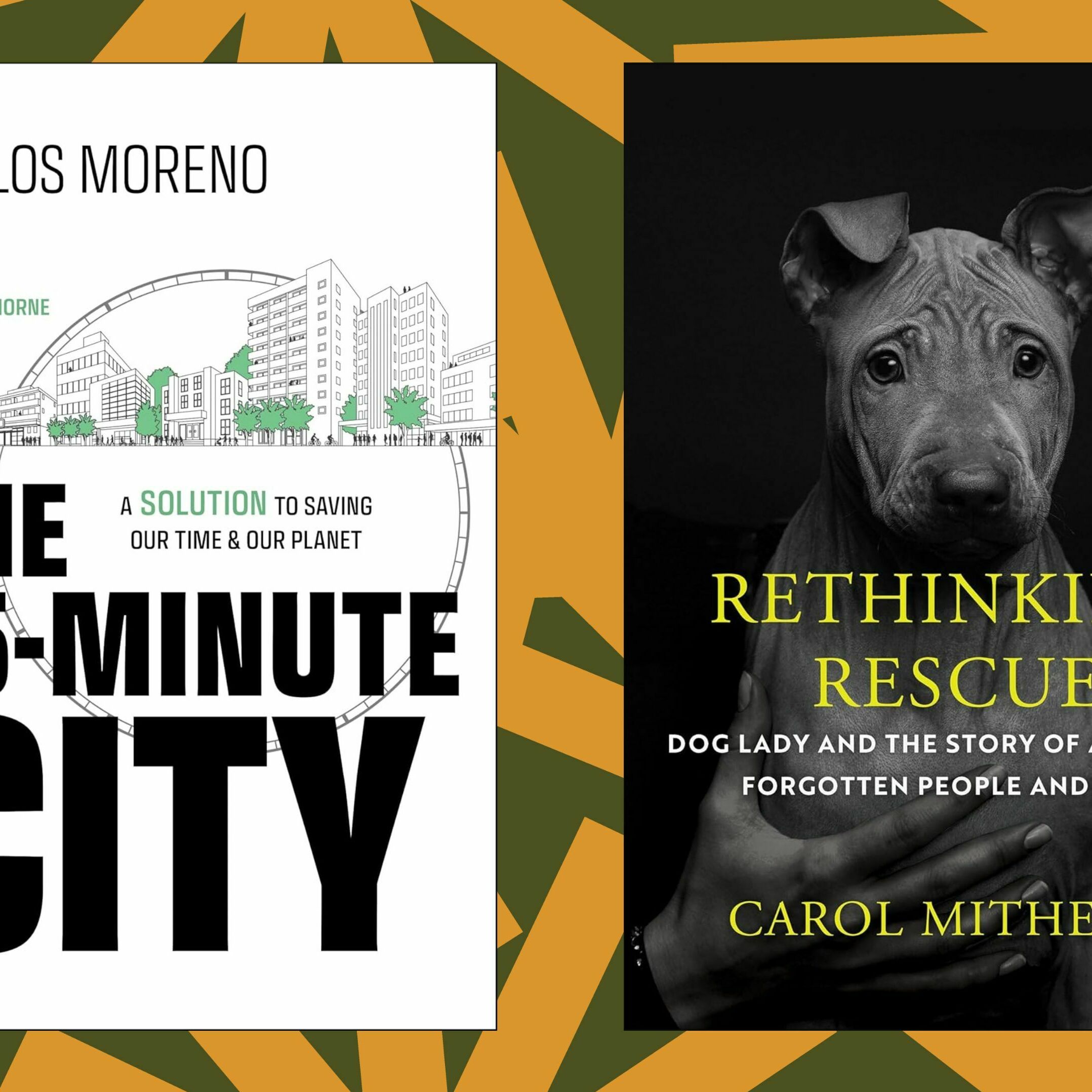 'The 15-Minute City' and 'Rethinking Rescue' reimagine existing systems