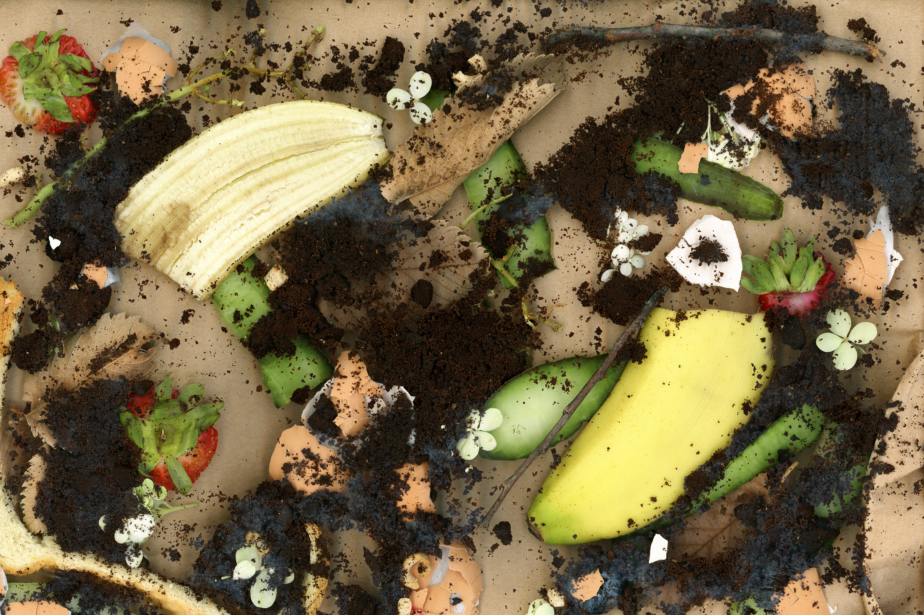  (Photo Illustration by Becky Harlan/NPR)