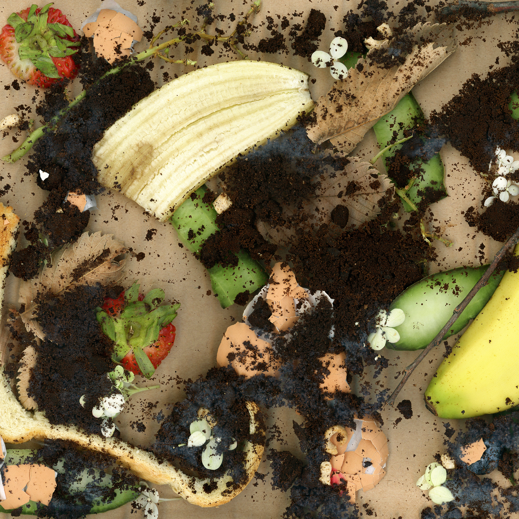 5 easy steps to start composting