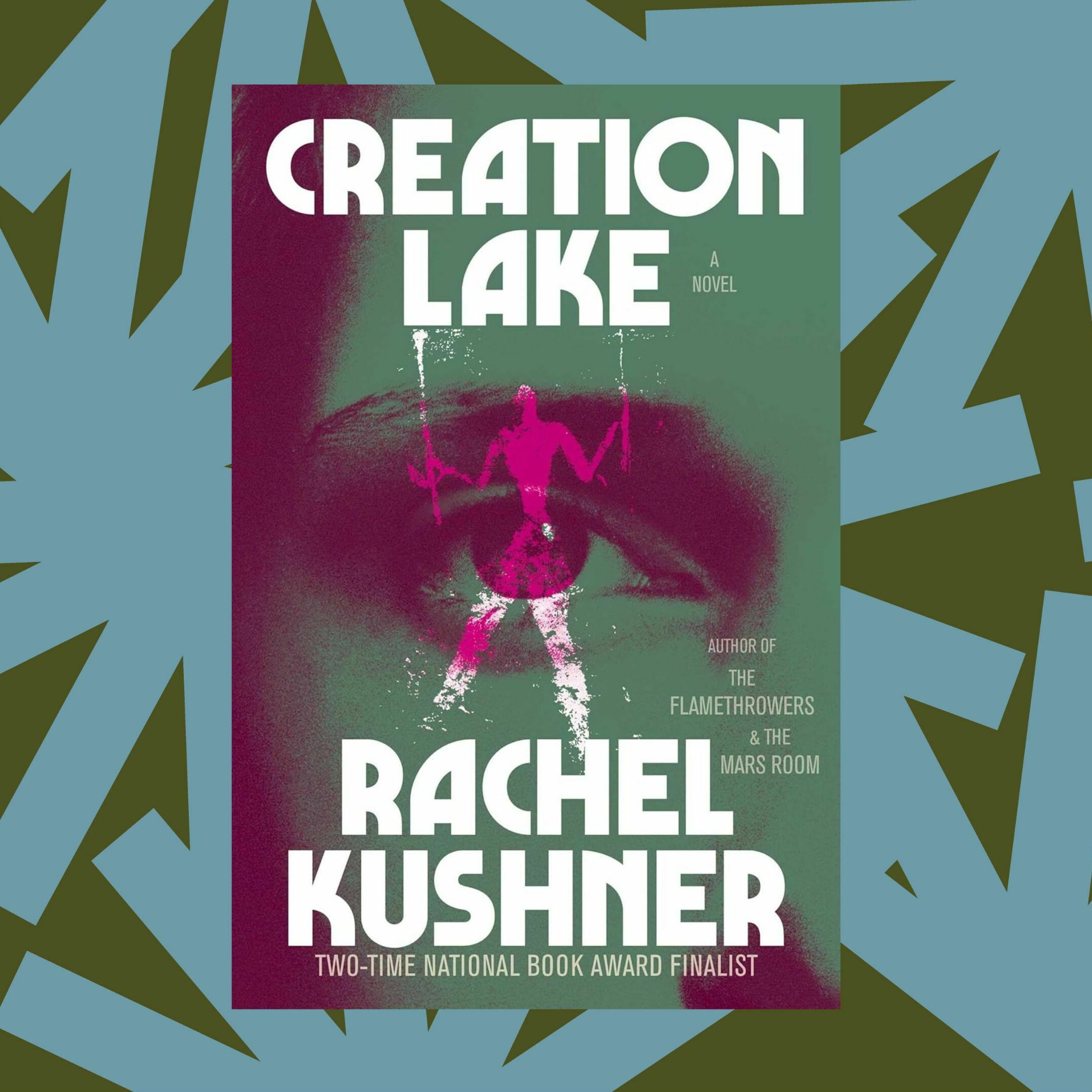 Rachel Kushner's new novel 'Creation Lake' is inspired by real-life espionage