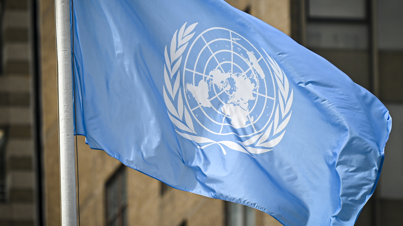 Must the U.N. Safety Council be Reformed? : State of the Global from NPR Must the U.N. Safety Council be Reformed? : State of the Global from NPR