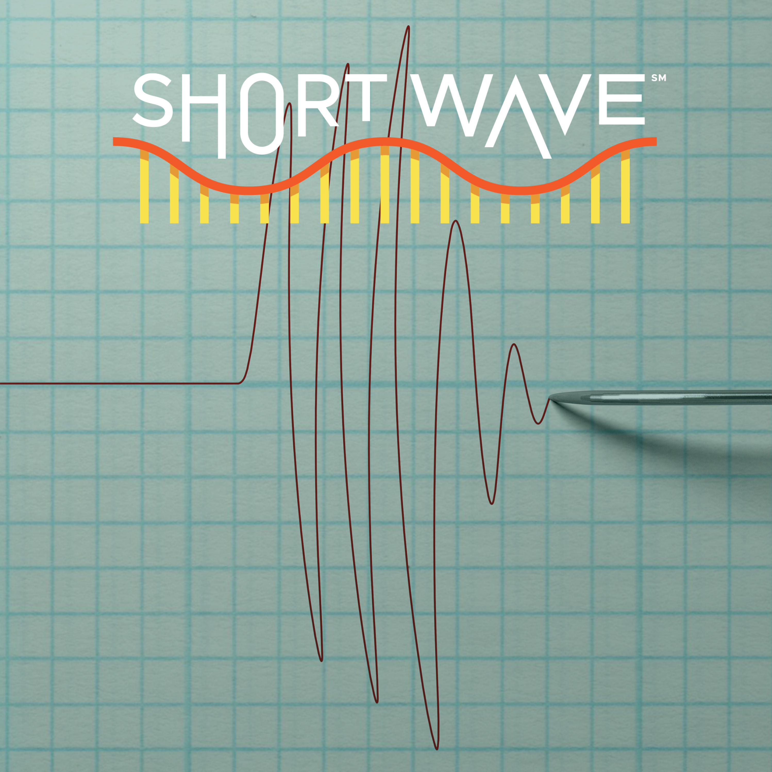 How Do You Spot A Liar?