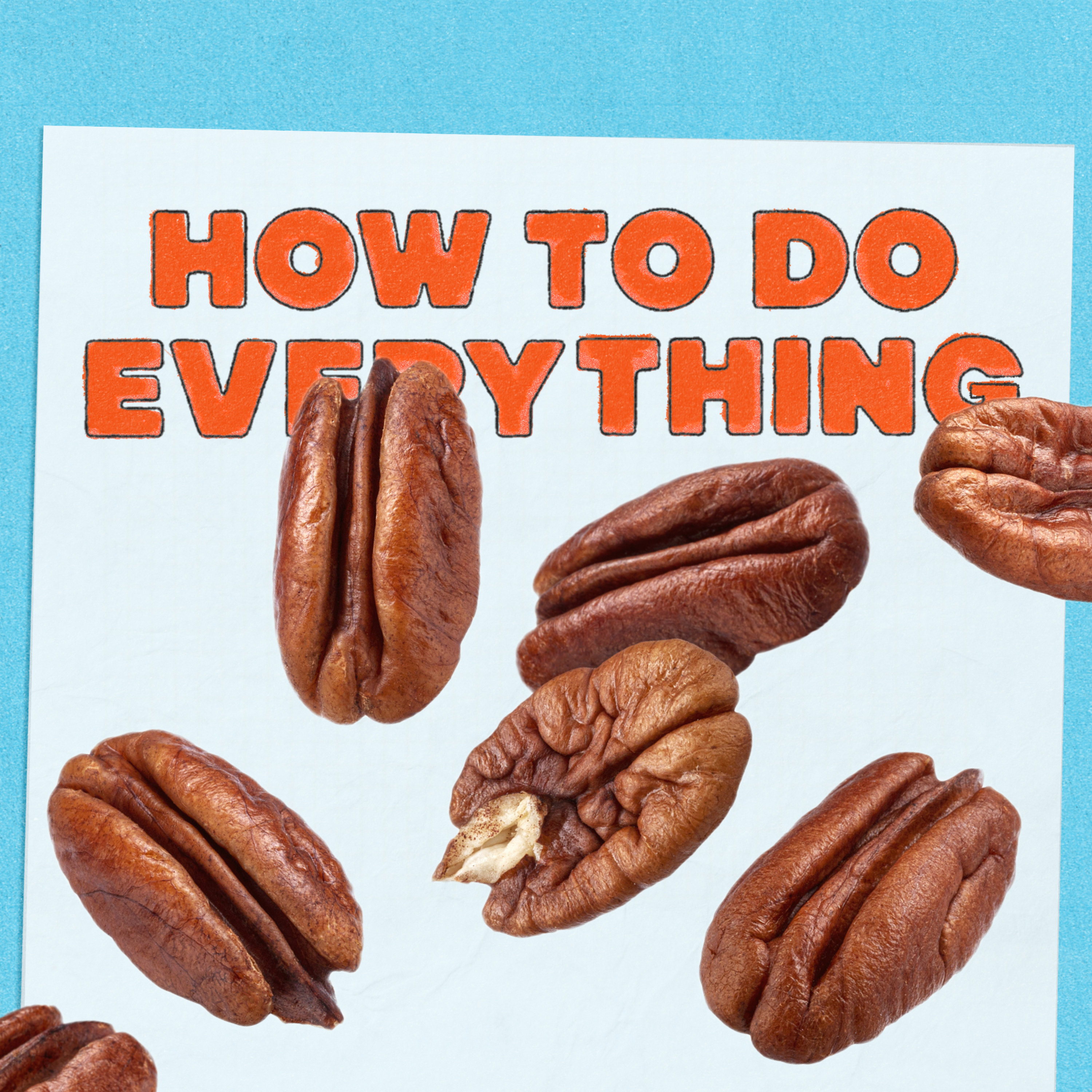 HTDE: Yes We Pecan, with Martha Stewart