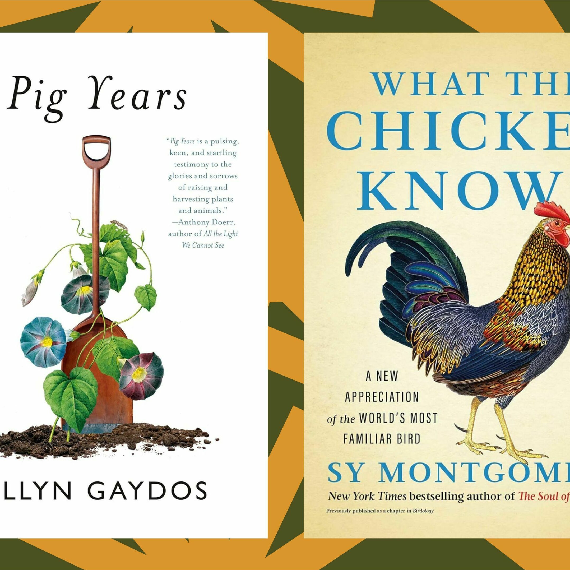 'Pig Years' and 'What the Chicken Knows' consider the interior worlds of farm animals - podcast episode cover