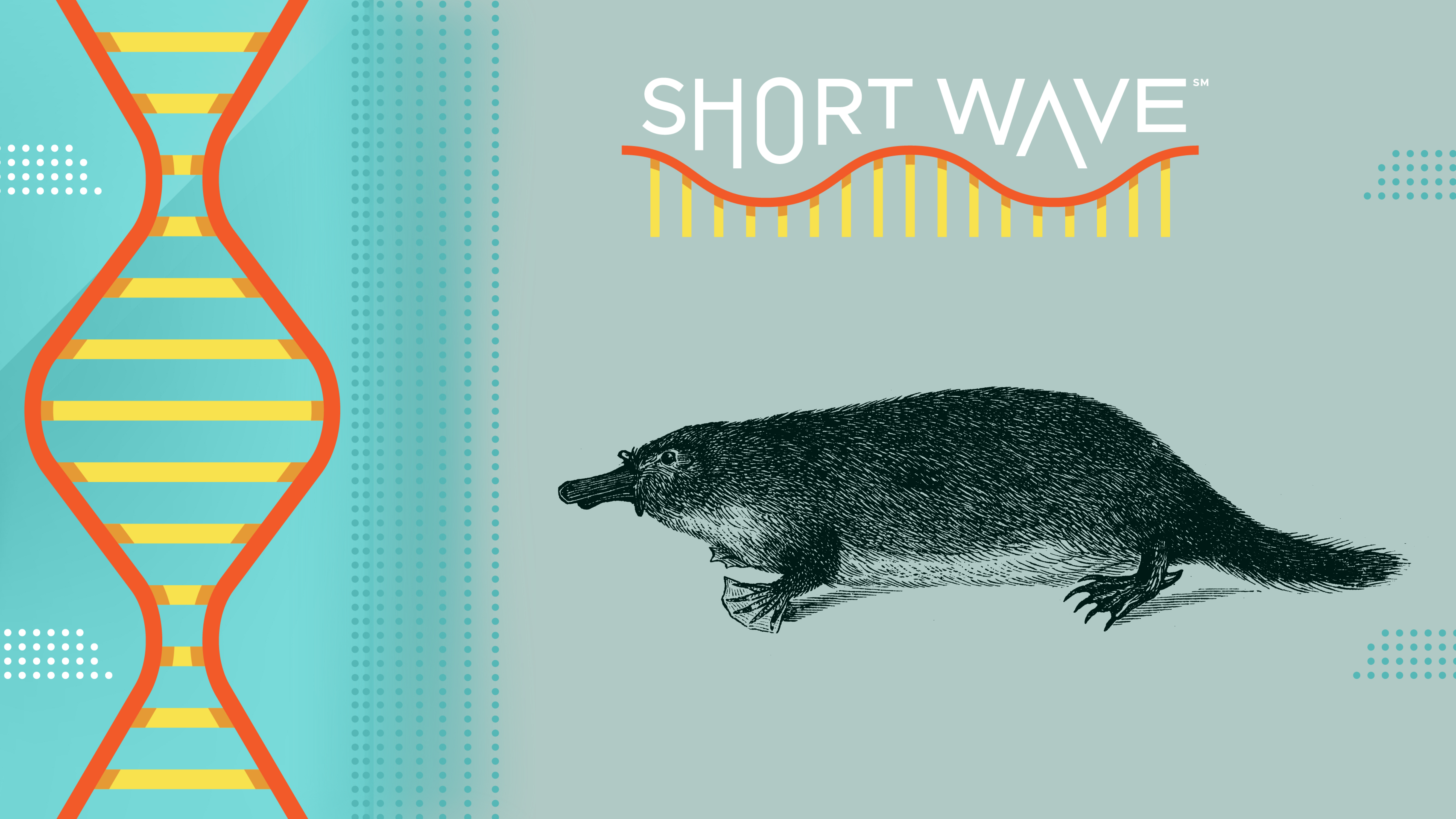 The global effort to genetically map 70,000 animal species : Short Wave