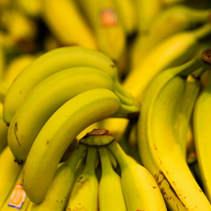 What's Being Done To Save Bananas