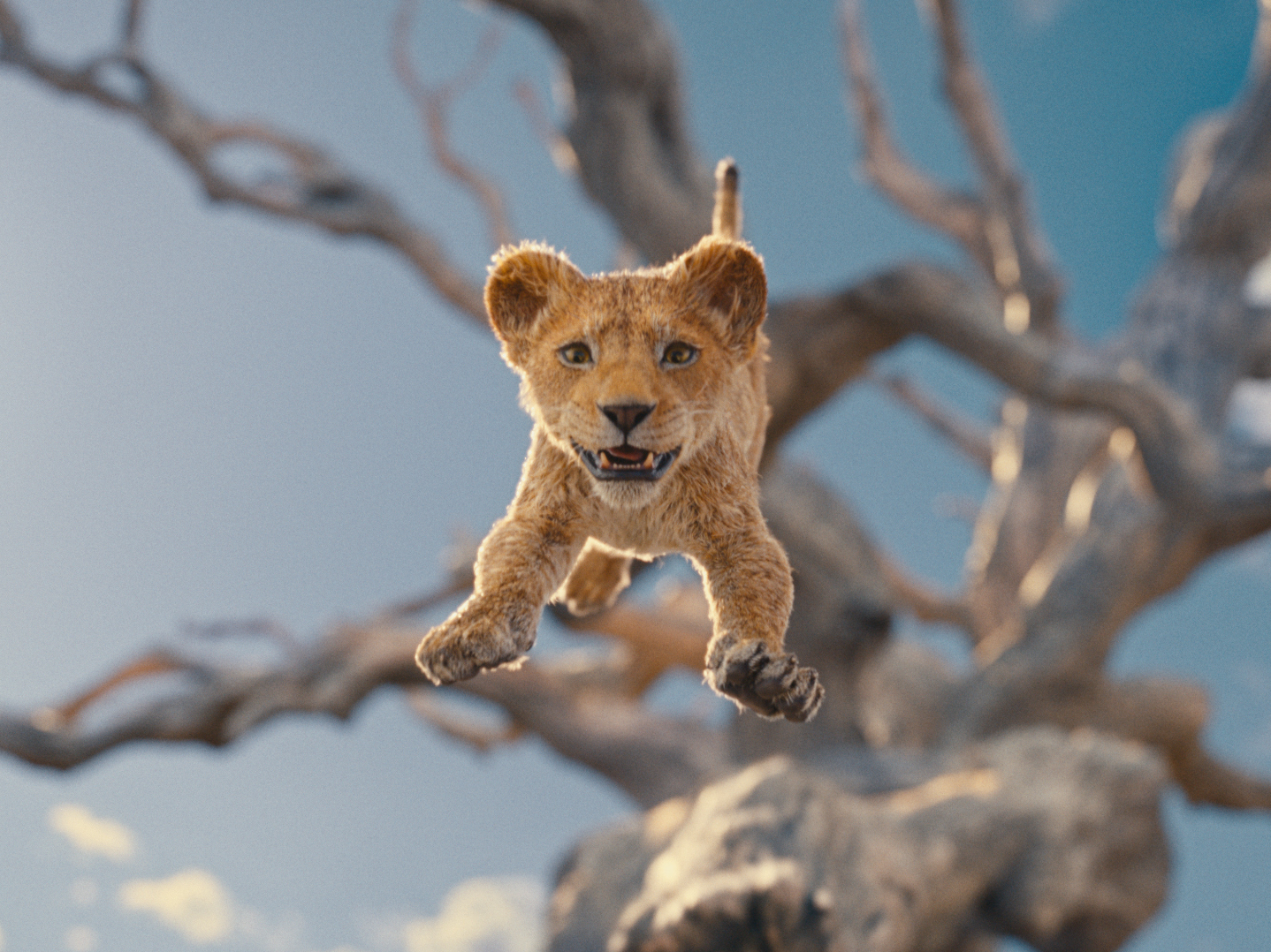 In 'Mufasa,' every question you never had about 'The Lion King' is answered
