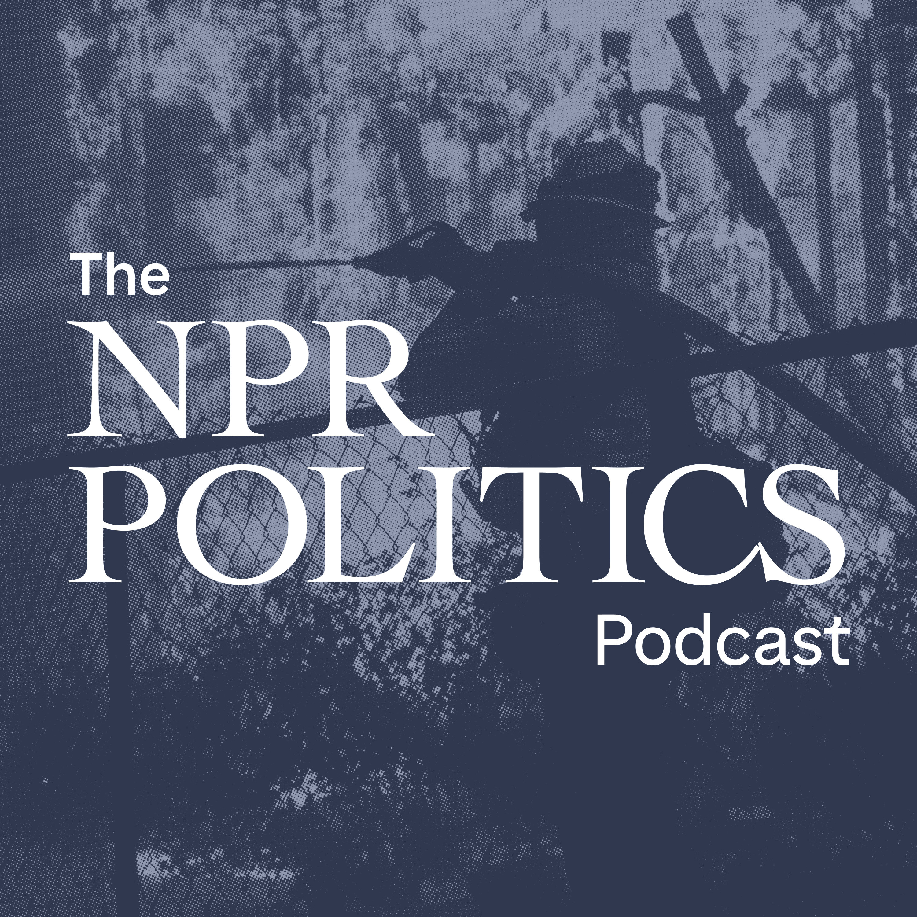 Trump Puts Blame For Wildfires On Newsom's Shoulders - podcast episode cover