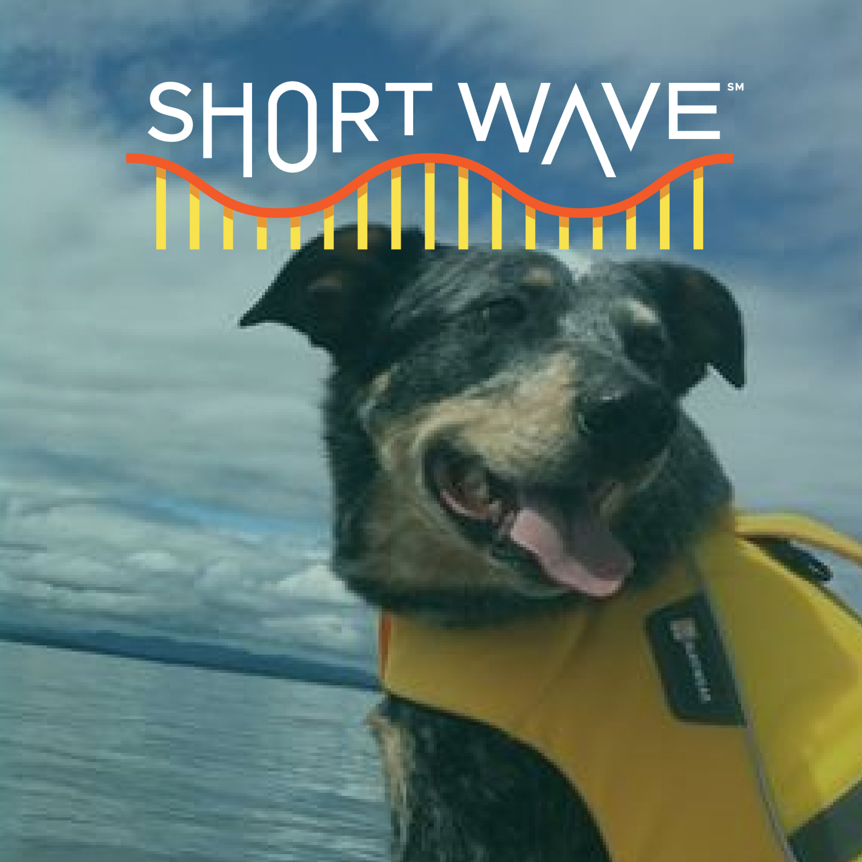 Will Bark For Science