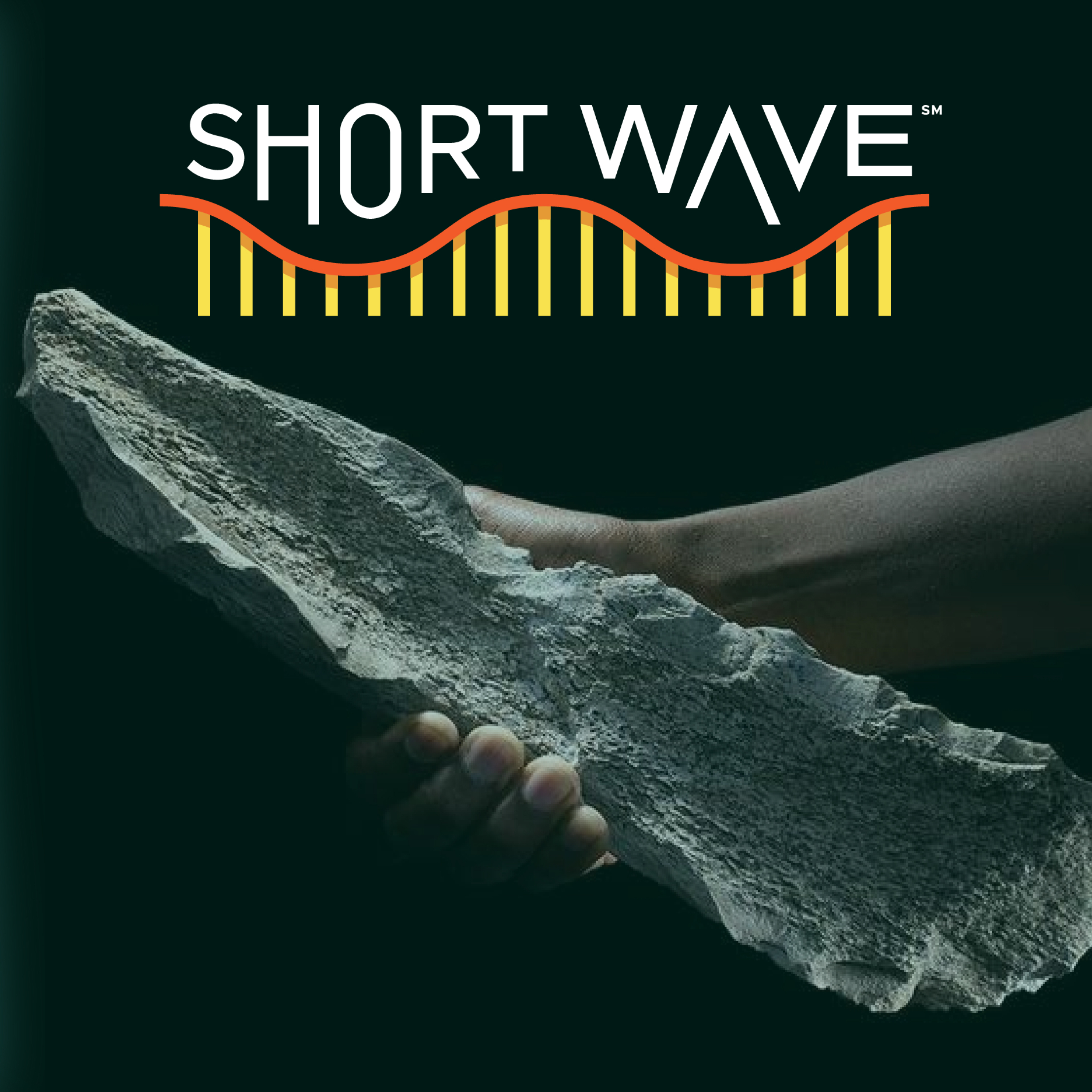 Stone Age To Bone Age?