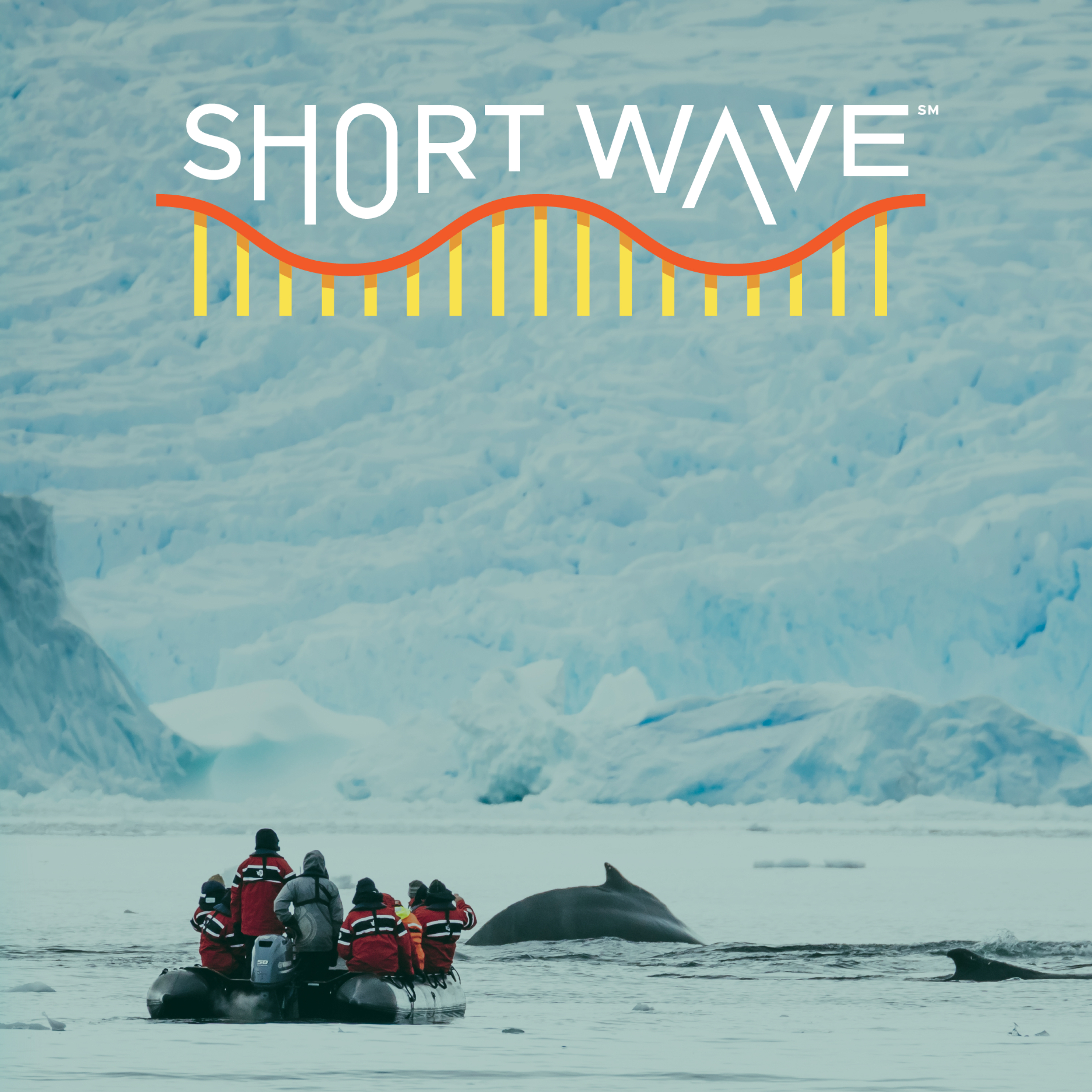 The Great Antarctic Food Web Puzzle