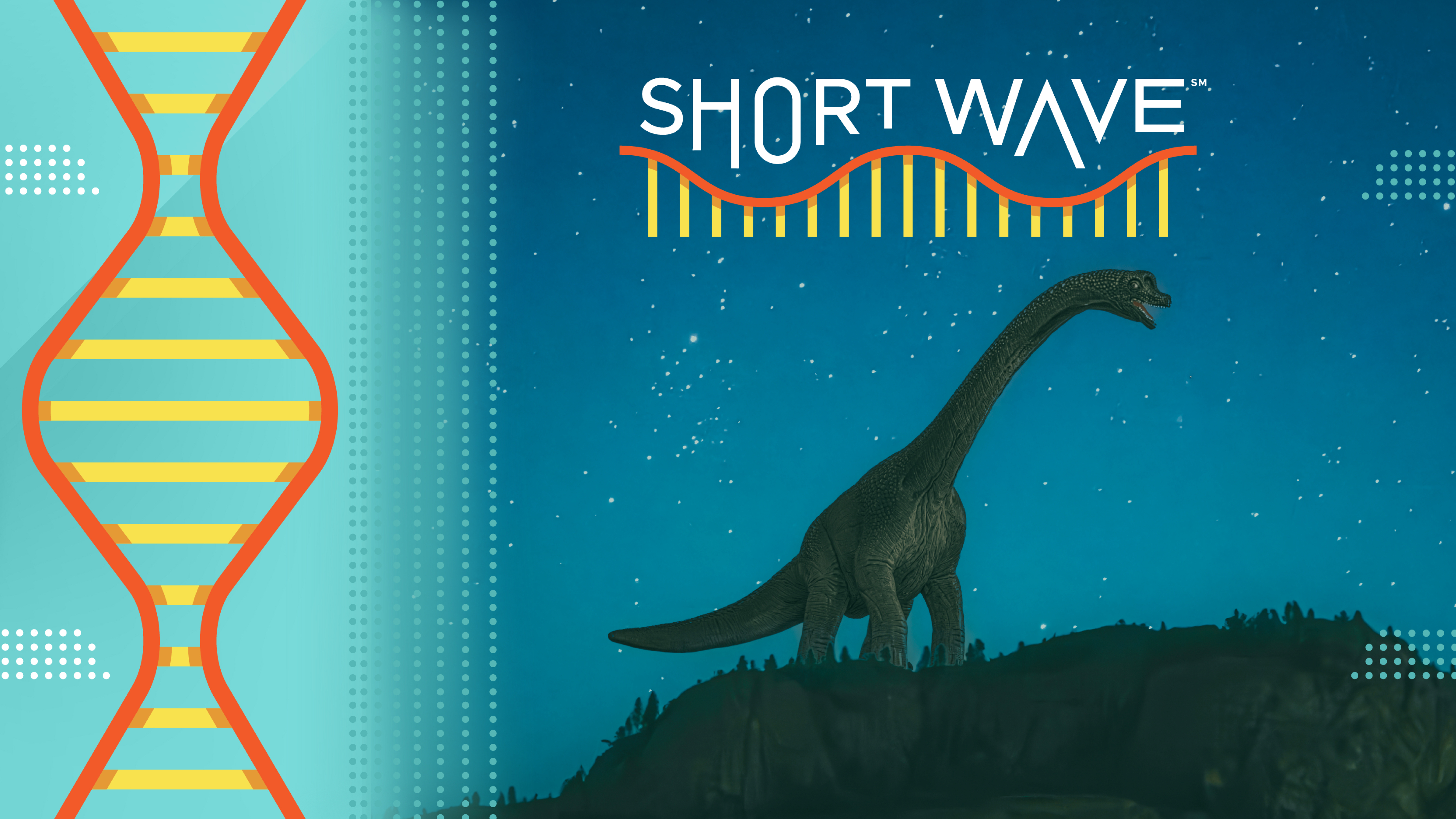 In the Cretaceous period, sauropods were major ecosystem engineers. They knocked down trees and distributed nutrients through their poop, dramatically altering the landscape of ancient Earth.