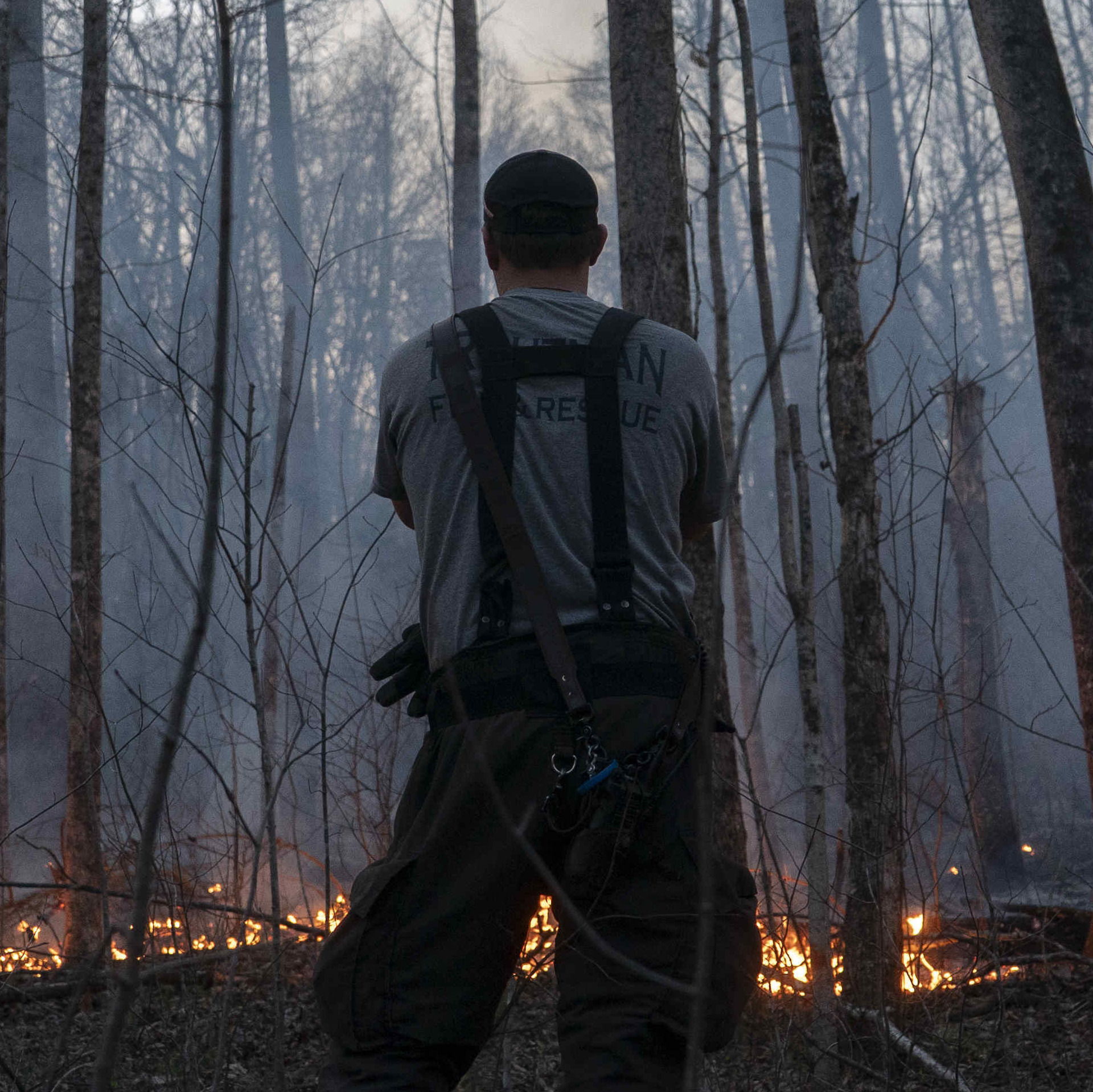 cover of episode The Southeastern U.S. faces a future with more wildfires