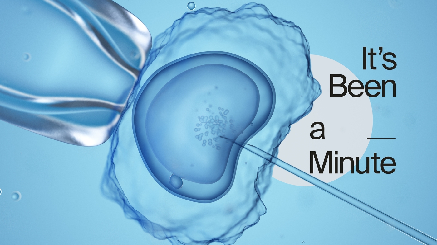 Can doctors test embryos for autism? And should they? : It's Been a Minute Can doctors test embryos for autism? And should they? : It's Been a Minute
