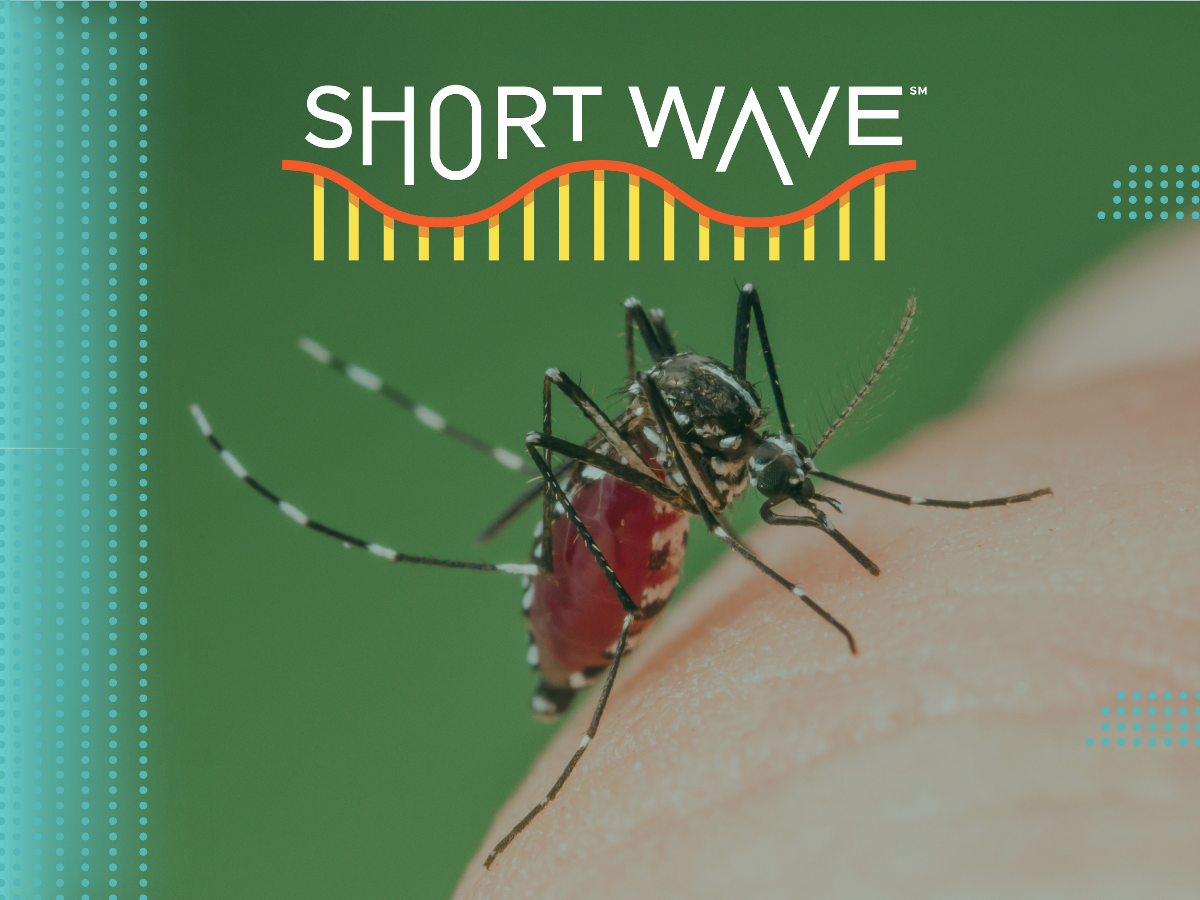 Climate change could be great for mosquitoes