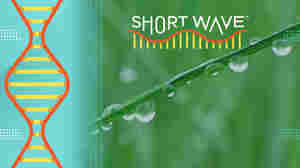 Need a better way to check the weather this summer? Try the dew point
