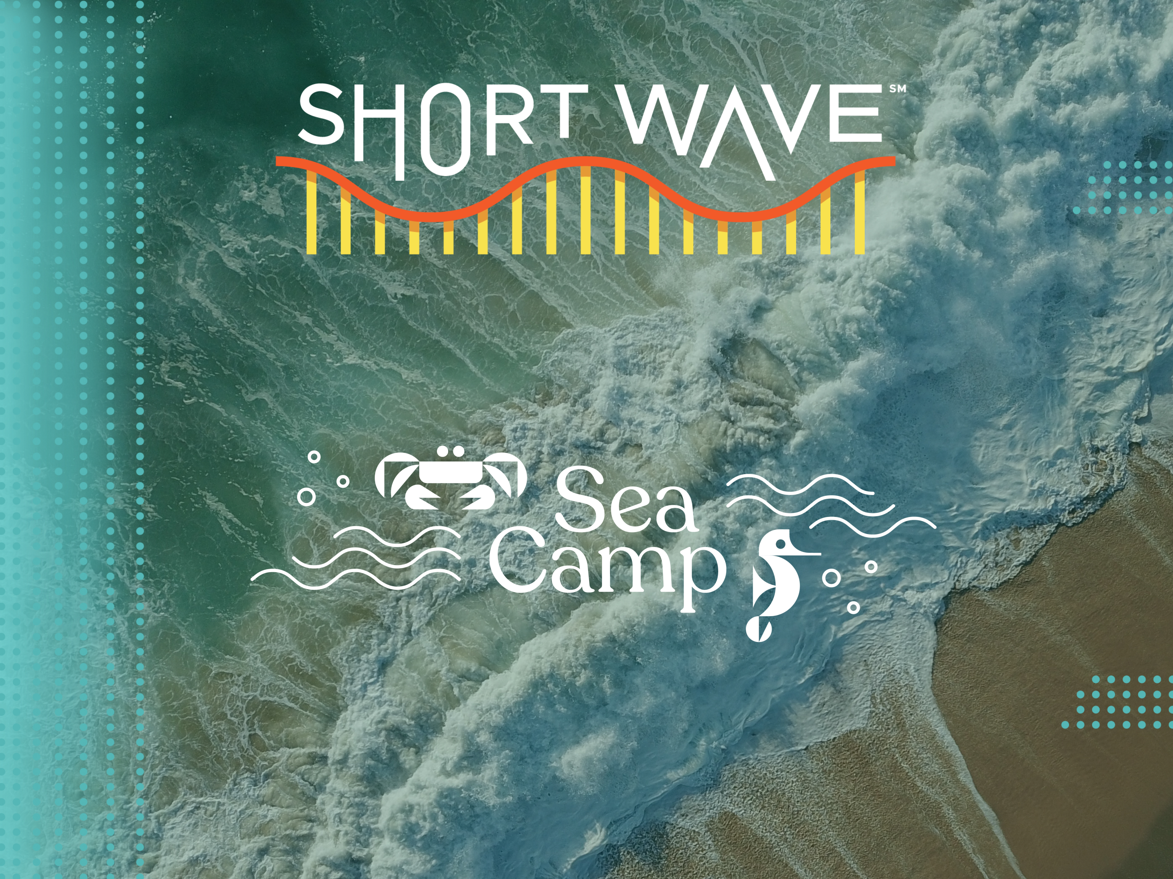 The ocean's currents are shifting. Why?