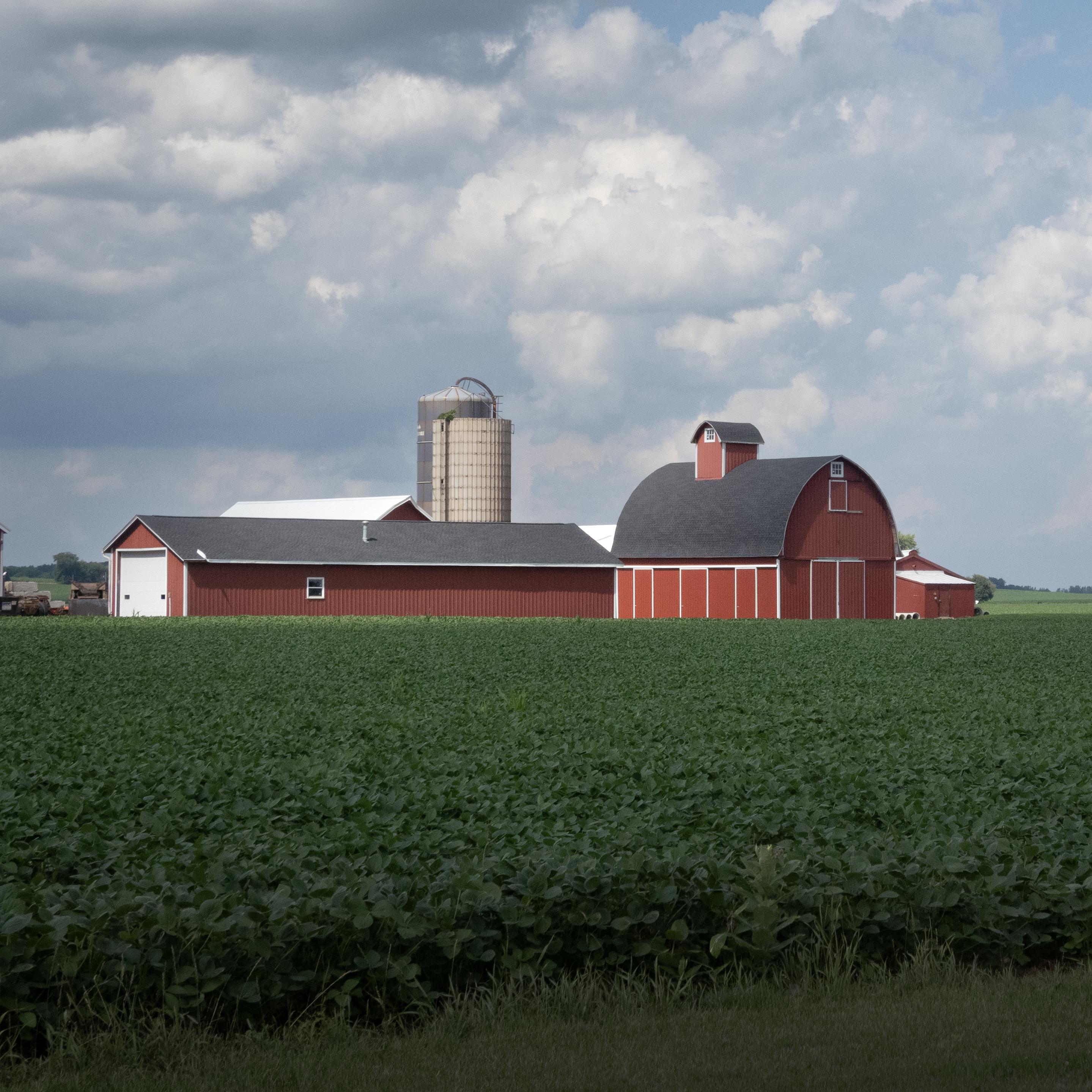 DOGE has special access to sensitive financial data on millions of farmers