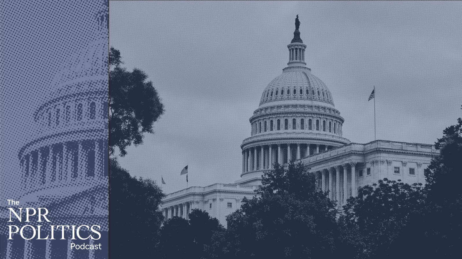 Congress And Trump Play Tug-Of-War Over The 'Power Of The Purse'