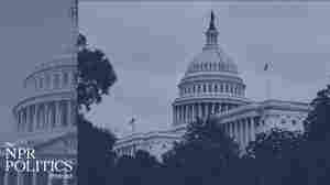 Congress and Trump play tug-of-war over the 'power of the purse'