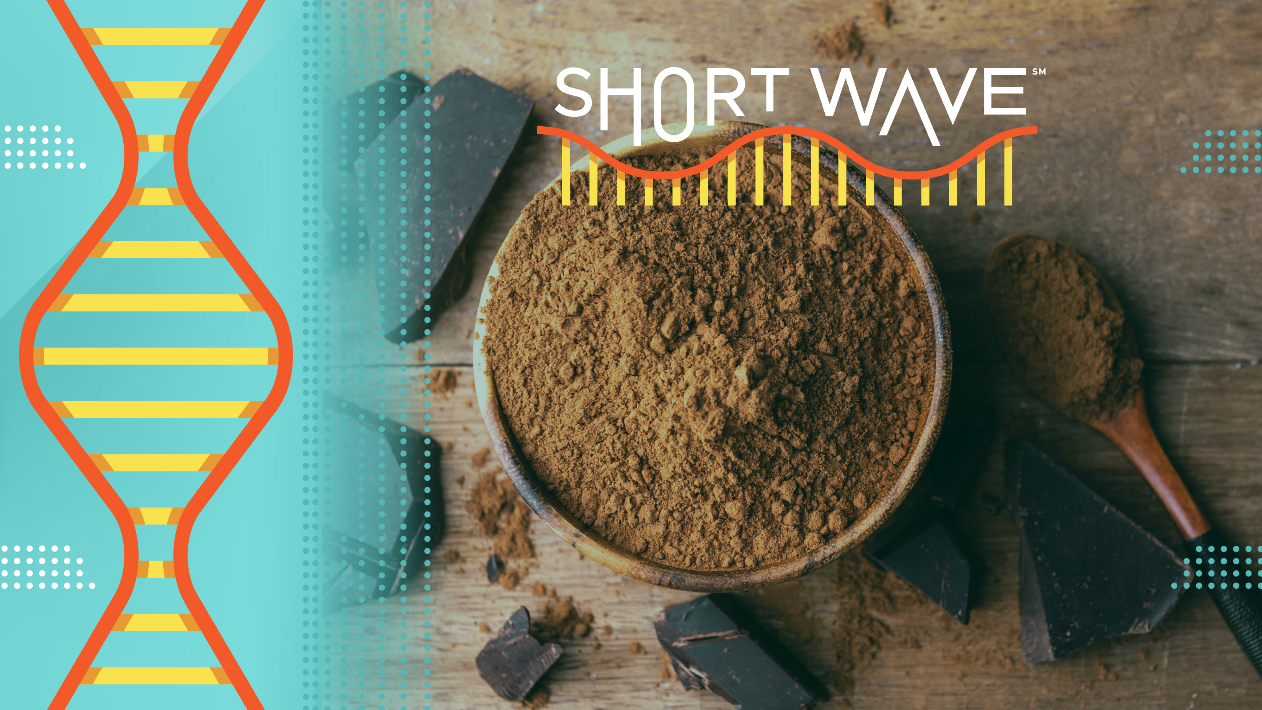 The price of cocoa has reached historic highs, forcing chocolate manufacturers to adjust their products β through price increases and shrinking package sizes.