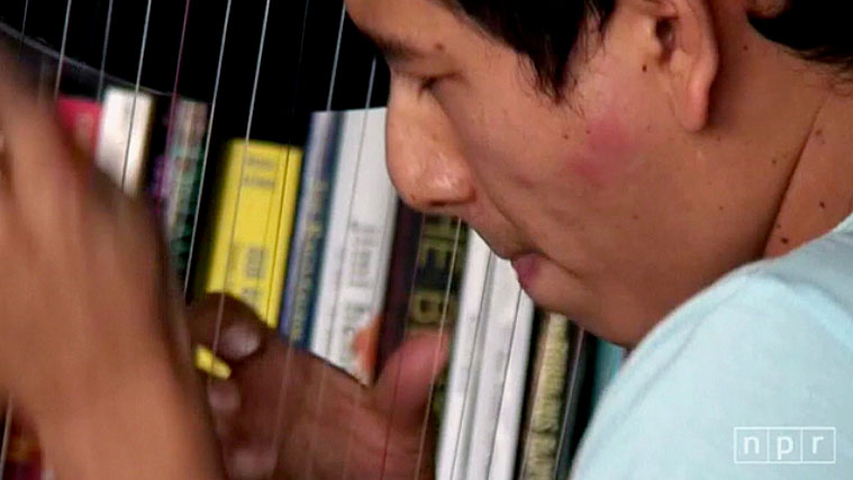Edmar Castaneda: Tiny Desk Concert