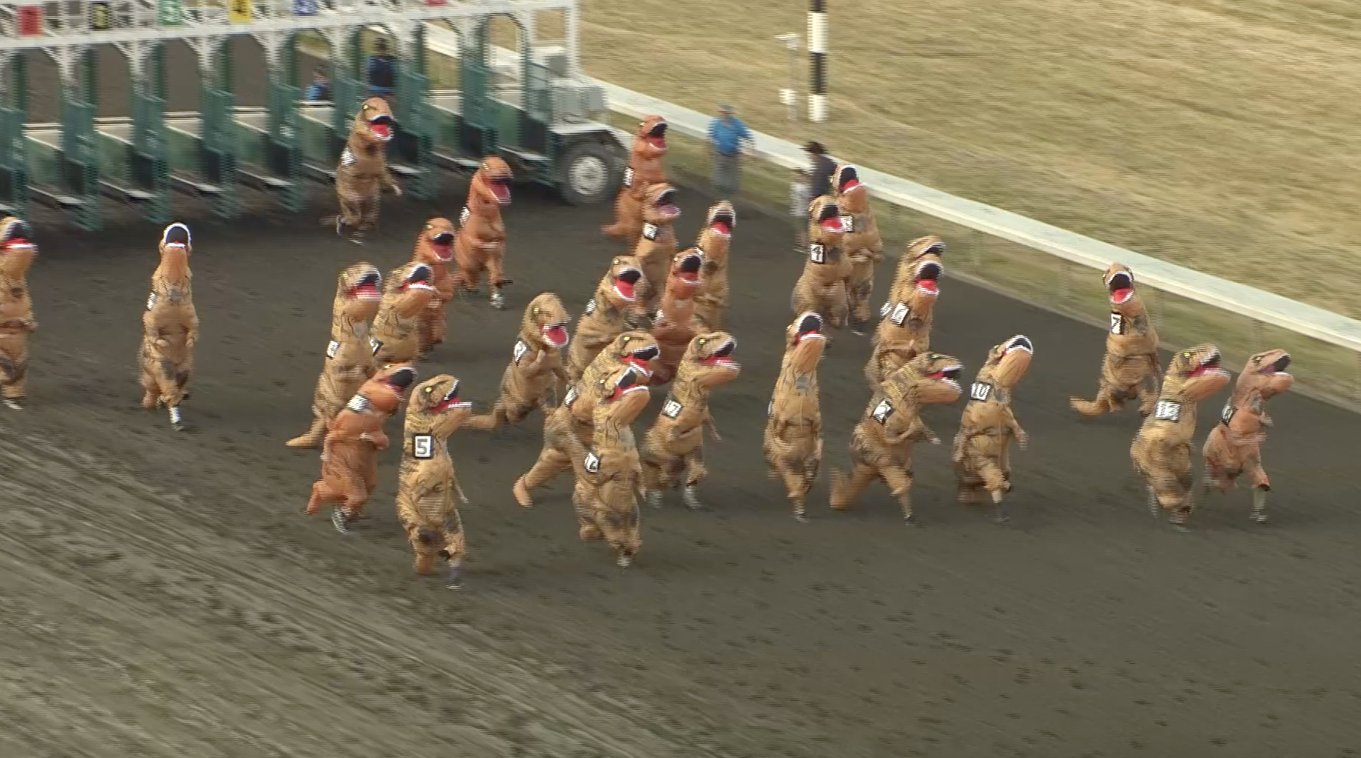 At The T-Rex Races: On Your Mark, Get Set, Rawwrr!