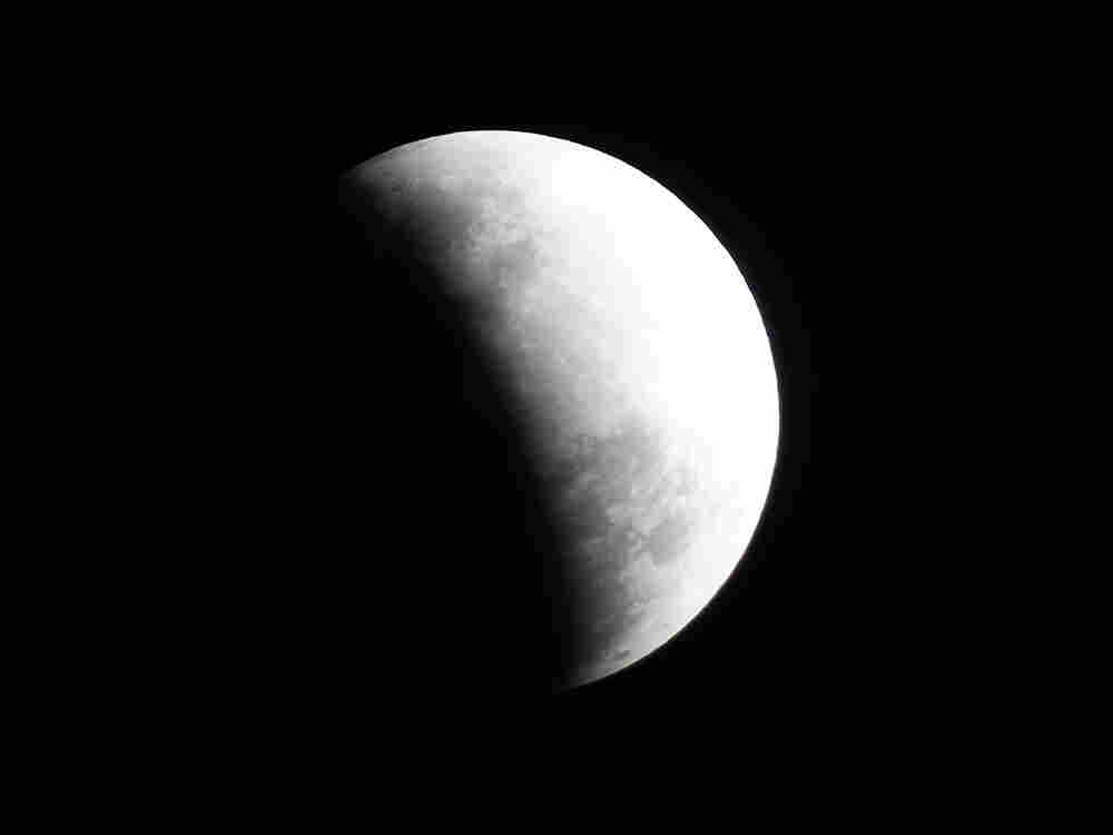 Moonlight