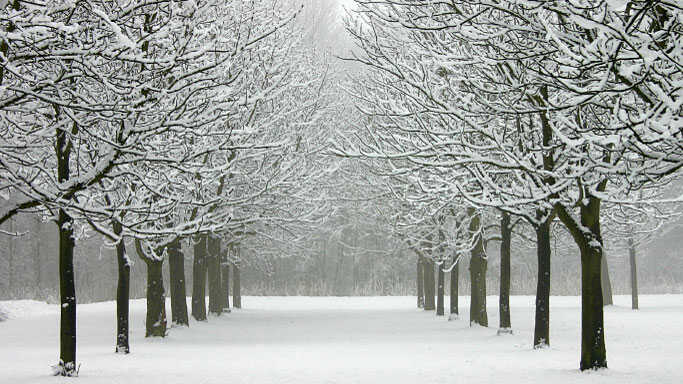 What Music Fuels Your Winter Blahs?