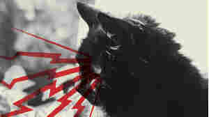 Hear The New Telekinesis Single: A Record Store Day Exclusive!