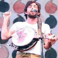 avett brothers