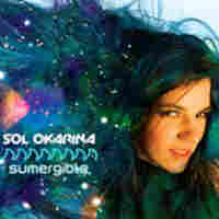 Cover for Sumergible
