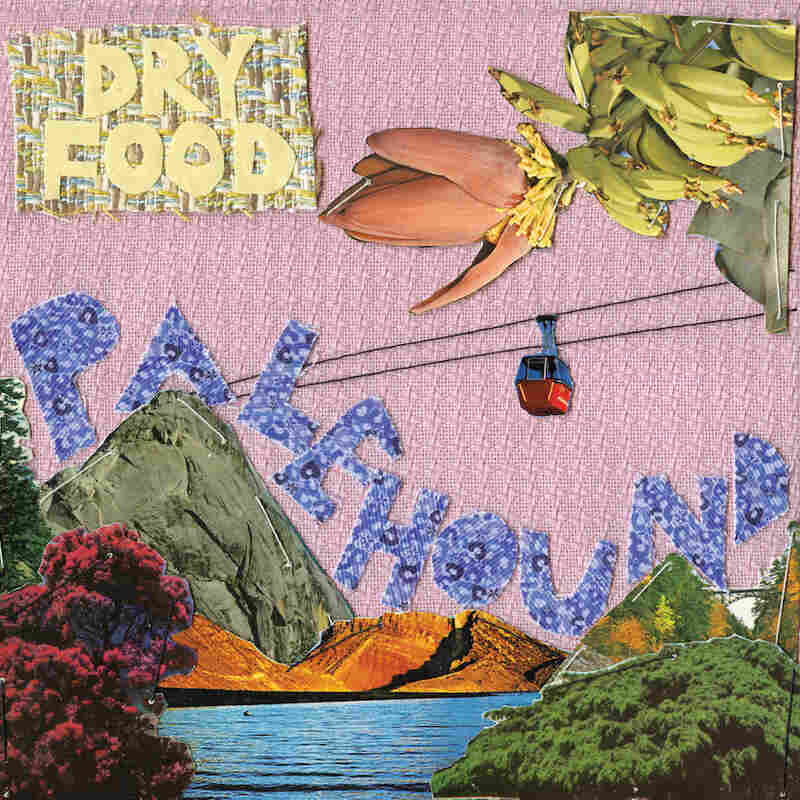 Cover for Dry Food