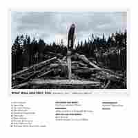 Cover for What Will Destroy You