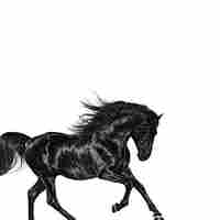 Cover for Old Town Road (Remix)