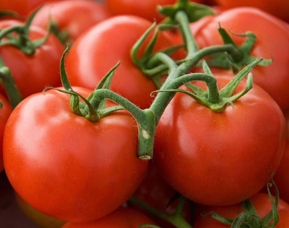 Pennsylvania-grown hydroponic tomatoes sit on a table for sale at an open-air farmers' market on July 6, 2008, in Fairfax, Va. (Getty Images)
