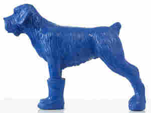 blue dog