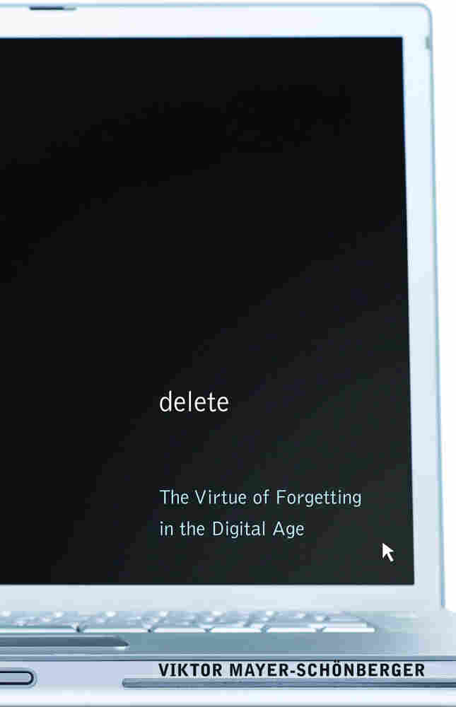 Cover of 'Delete'