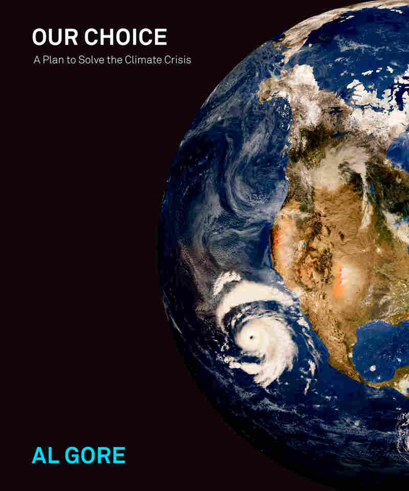 'Our Choice' book cover