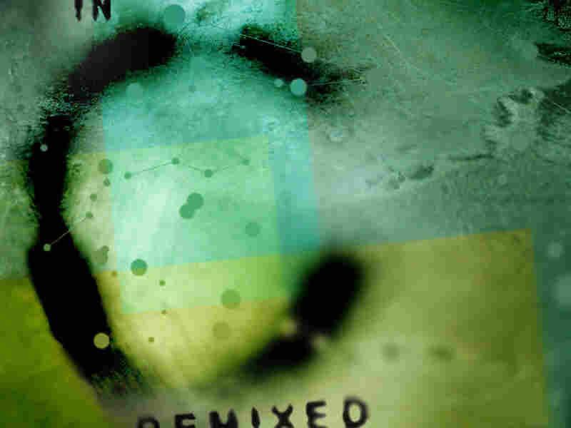 Cover of IN C remixed