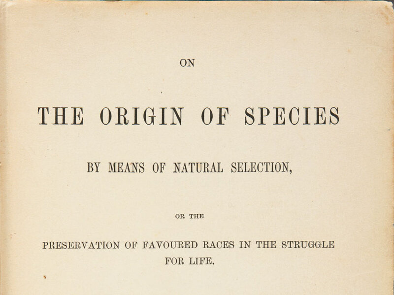 Image result for darwin's on the origin of species