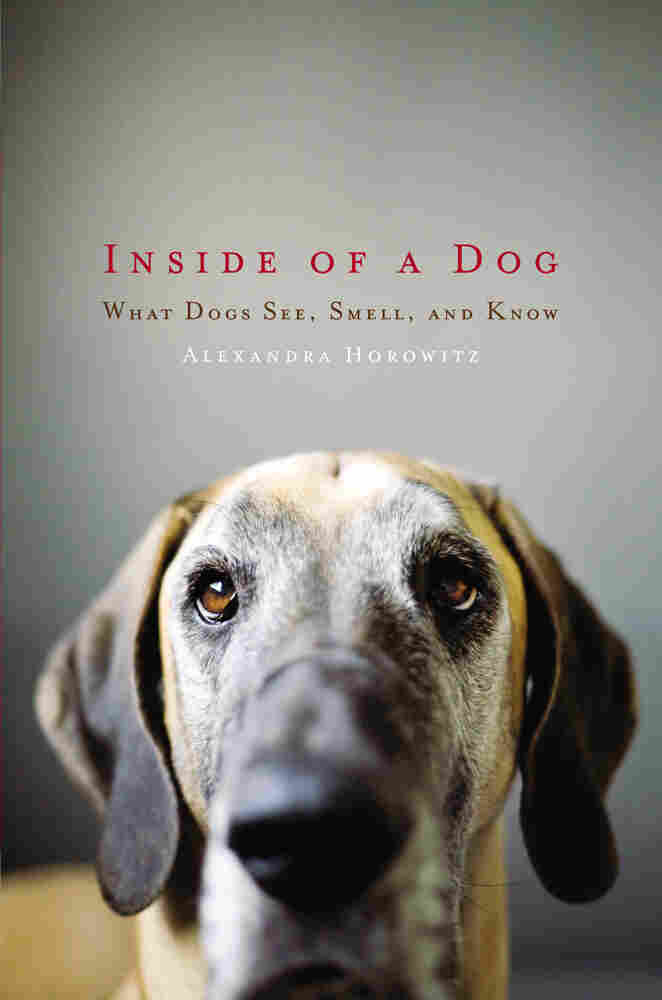 Cover of 'Inside of a Dog'