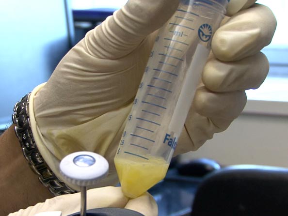 Eggnog Spike And Let It Sit, For Safety NCPR News