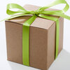 Conscientous Holiday Spending