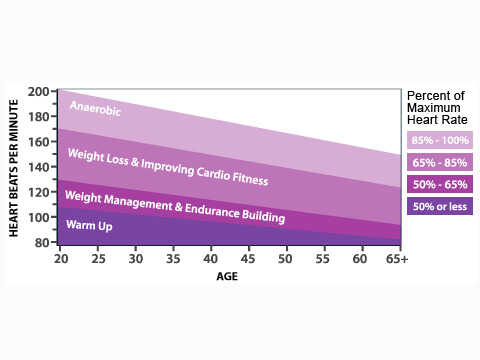 Heart Rate & Weight Training