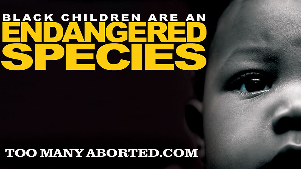 the real issues on abortion the real issues on abortion