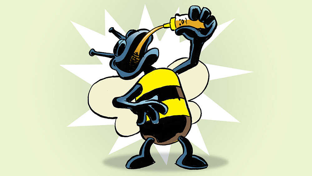 Bee drinking honey