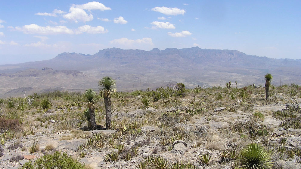 Security Concerns Overshadow U.S.-Mexico Border Park Plan : NPR