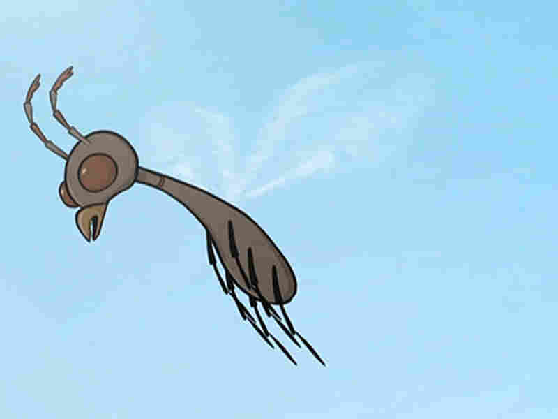 Illustration of termite flying in the sky.